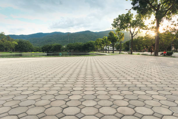 Best Concrete Paver Driveway  in Tracy City, TN