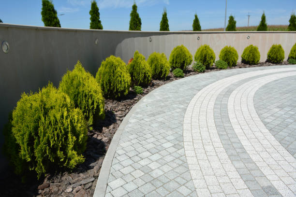 Best Driveway Paving Contractor  in Tracy City, TN